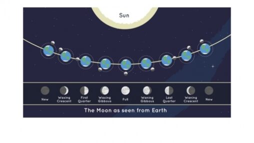 サウジアラビア ラマダン 月の目撃 2026